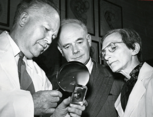 Bradley Patten (far left), Robert D. Lockhart (middle), and Elizabeth Crosby investigate an unidentified scientific sample circa 1950. HS11594