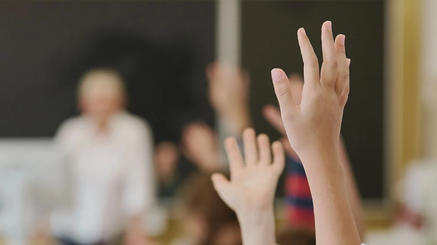 Students raising their hands in class.