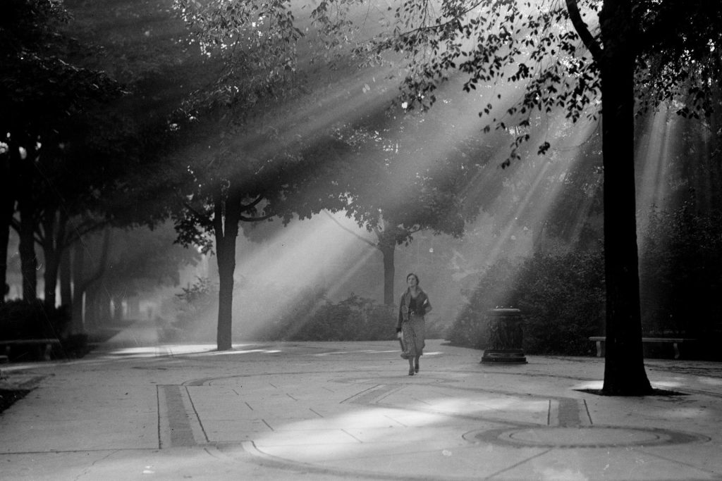 A black and white image of sunlight filtering through trees and a woman walking along a wide sidewalk.